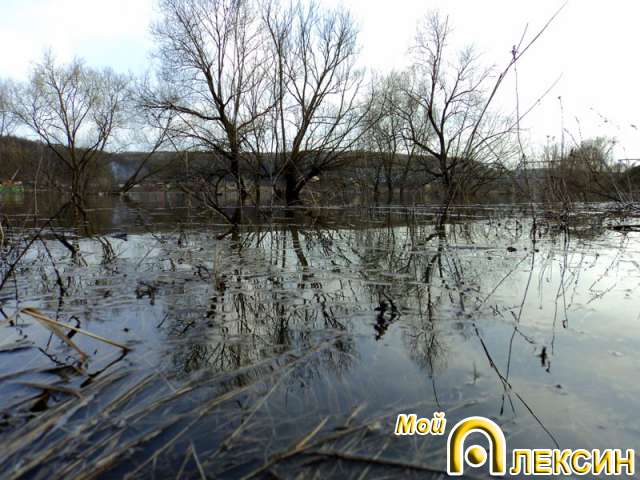 Ока. 21.04.2012. Разлив