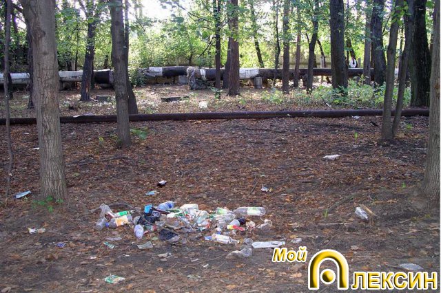 Мусор в парке на СоцГороде