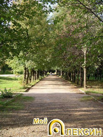 Аллея в парке на Соцгороде