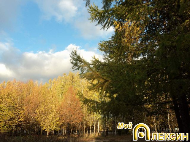 Парк на Соцгороде