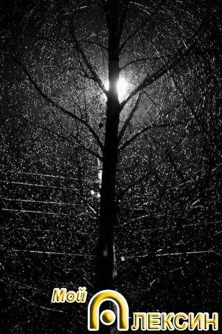 Поздний осенний вечер в Жалке