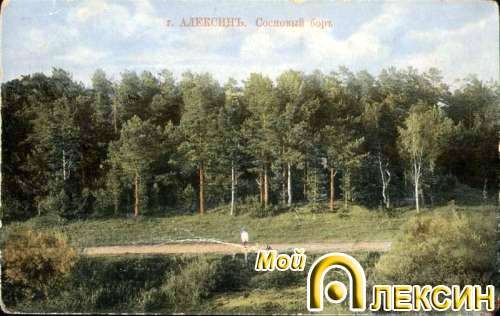 Сосновый бор