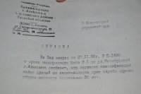 Алексинские руины