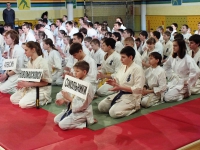 120 спортсменов из ЦФО приняли участие  в Открытом чемпионате и первенстве города Алексина по карате Кёкусинкай