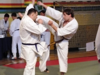 120 спортсменов из ЦФО приняли участие  в Открытом чемпионате и первенстве города Алексина по карате Кёкусинкай