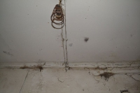 Алексинские руины