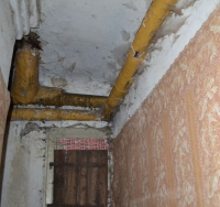 Алексинские руины