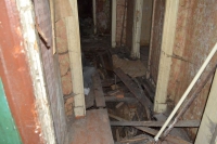 Алексинские руины