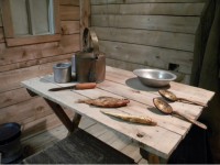 История Алексина