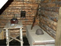 История Алексина