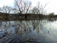 Ока поднялась до шести метров.