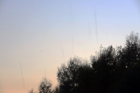 "НЛО", порожденное насекомыми