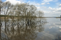 Ока поднялась до шести метров.