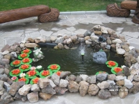 Сосновый Бор