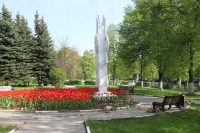 В Алексине ищут вандалов, испортивших клумбу с тюльпанами